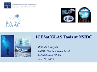 ICESat/GLAS Tools at NSIDC