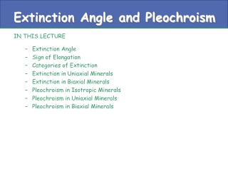 Extinction Angle and Pleochroism