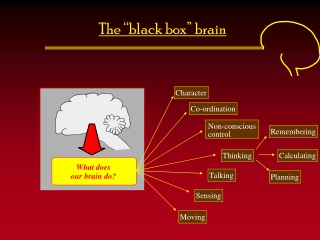 The “black box” brain