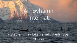 Arnøyhamn Internat