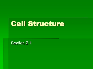 Cell Structure