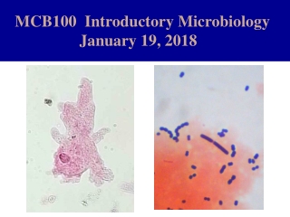 MCB100  Introductory Microbiology                    January 19, 2018