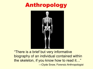 Anthropology