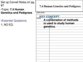 Set up Cornell Notes on pg. 87 Topic:  7.4 Human Genetics and Pedigrees Essential Questions :