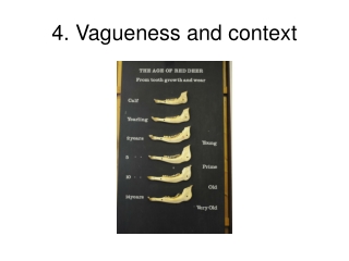 4. Vagueness and context