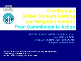 Developing a  Global Tsunami Warning and Mitigation System: From Commitment to Action