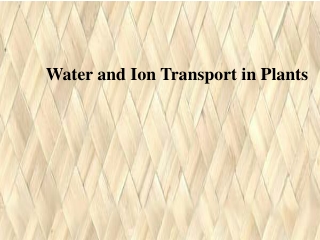 Water and Ion Transport in Plants