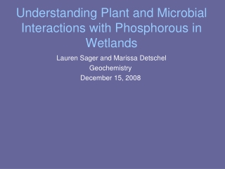 Understanding Plant and Microbial Interactions with Phosphorous in Wetlands