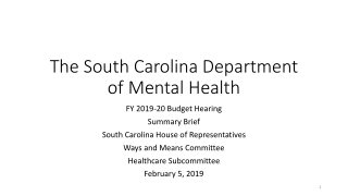 The South Carolina Department of Mental Health