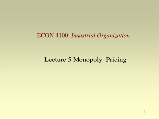 Lecture 5 Monopoly  Pricing