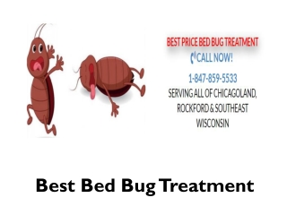 Bed bug heat treatment to control bed bugs