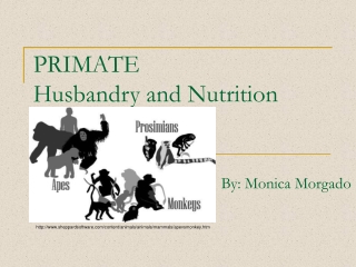 PRIMATE  Husbandry and Nutrition