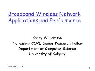 Broadband Wireless Network Applications and Performance