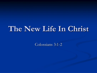 The New Life In Christ