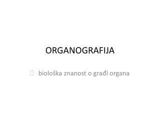 ORGANOGRAFIJA