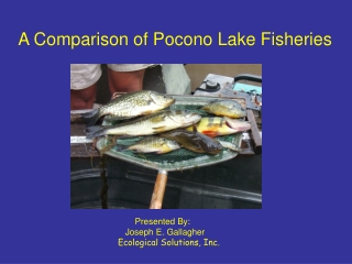 A Comparison of Pocono Lake Fisheries