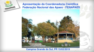 Apresentação da Coordenadoria Científica Federação Nacional das Apaes - FENAPAES