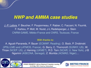 NWP and AMMA case studies