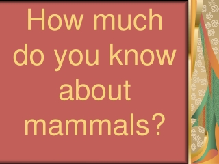 How much  do you know  about mammals?