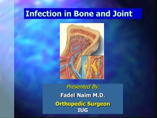 Infection in Bone and Joint