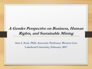 A Gender Perspective on Business, Human Rights, and Sustainable Mining