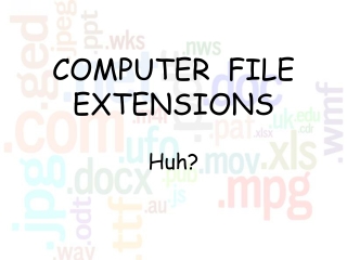 COMPUTER  FILE  EXTENSIONS