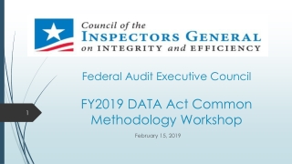 Federal Audit Executive Council FY2019 DATA Act Common Methodology Workshop