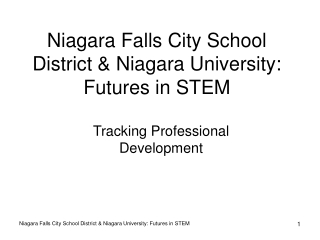 Niagara Falls City School District &amp; Niagara University:  Futures in STEM