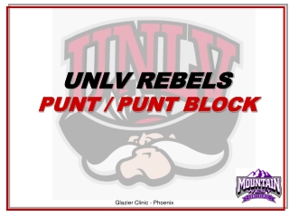 UNLV REBELS