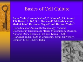 Basics of Cell Culture