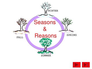 Seasons  &amp;  Reasons