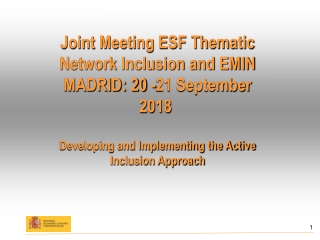 Joint Meeting ESF Thematic Network Inclusion and EMIN MADRID: 20 -21 September 2018 