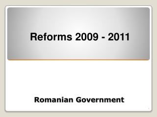 Romanian Government