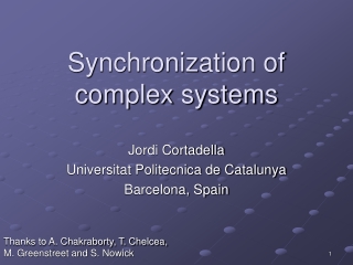 Synchronization of complex systems