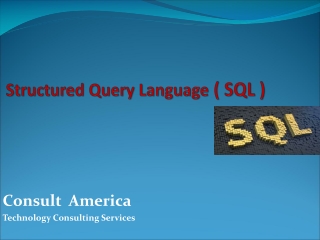 Structured Query Language  ( SQL )