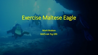 Exercise Maltese Eagle