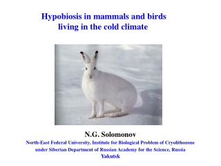 Hypobiosis in mammals and birds  living in the cold climate