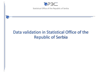 Data validation in Statistical Office of the Republic of Serbia