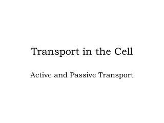 Transport in the Cell