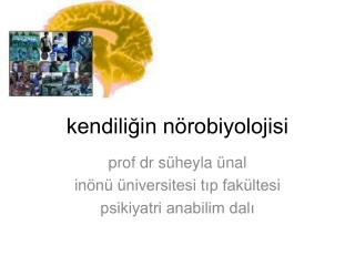 kendiliğin nörobiyolojisi