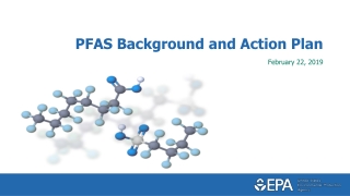 PFAS Background and Action Plan