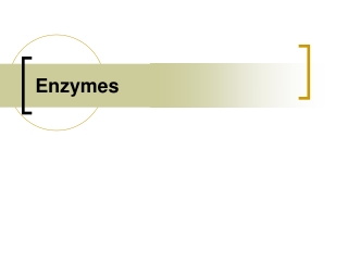 Enzymes