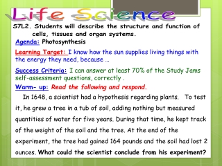 Agenda: Photosynthesis