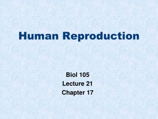 Human Reproduction