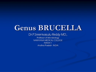 Many Names of Brucellosis