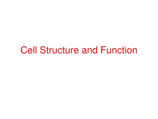 Cell Structure and Function