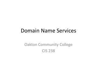 Domain Name Services