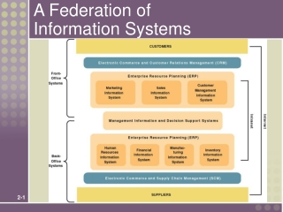 A Federation of  Information Systems