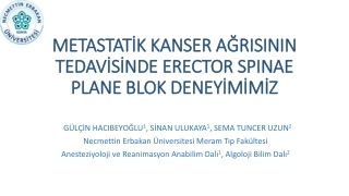 METASTATİK KANSER AĞRISININ TEDAVİSİNDE  ERECTOR SPINAE PLANE  BLOK DENEYİMİMİZ