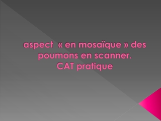 aspect   « en mosaïque »  des poumons en scanner. CAT pratique